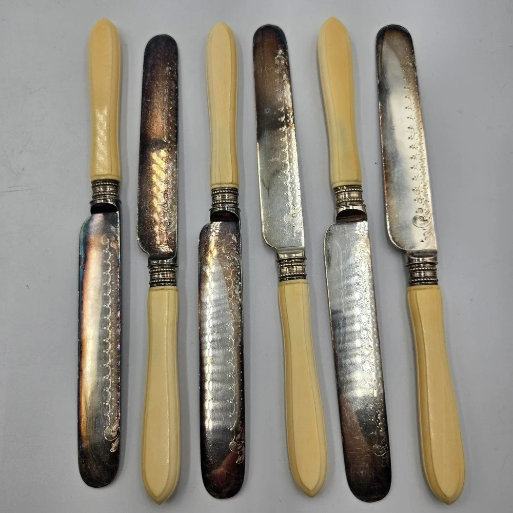 Vintage Dinner Butter‎ Knife Set EPNS Ornate Blade 6 Pc Rare Set Celluloid